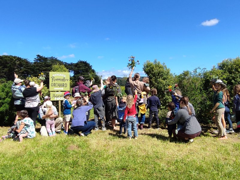 Earth School Aotearoa