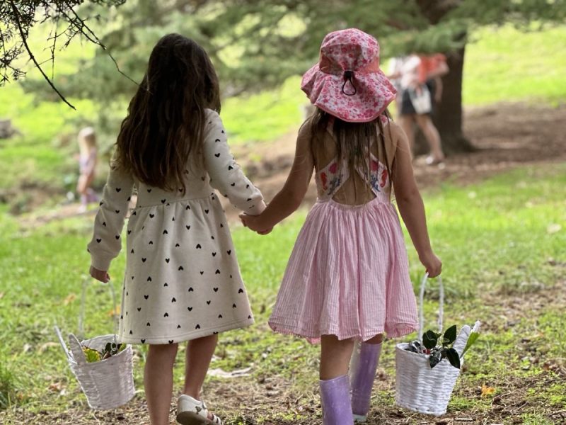 Earth School Aotearoa