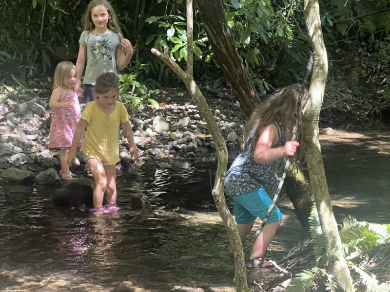 Earth School Aotearoa