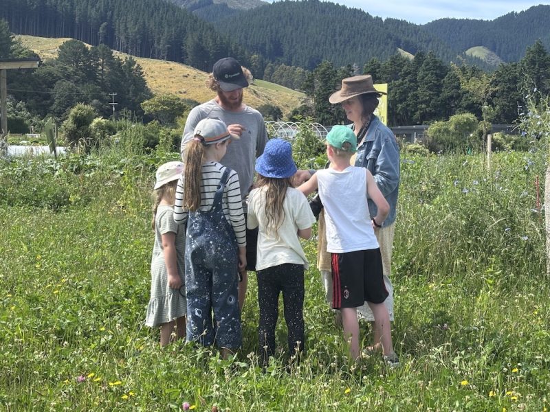 Earth School Aotearoa