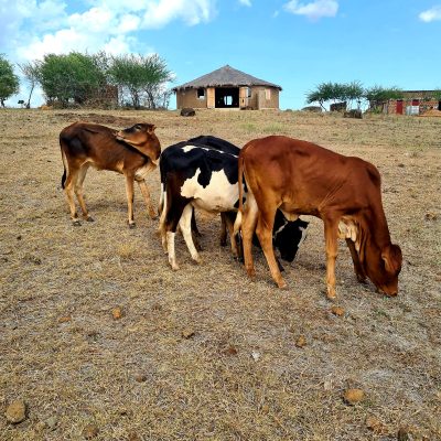 Worldschooling Tanzania