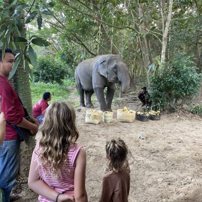 Pai Bliss Hub - Thailand