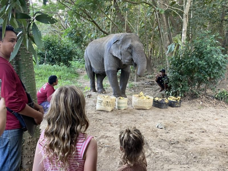 Pai Bliss Hub - Thailand