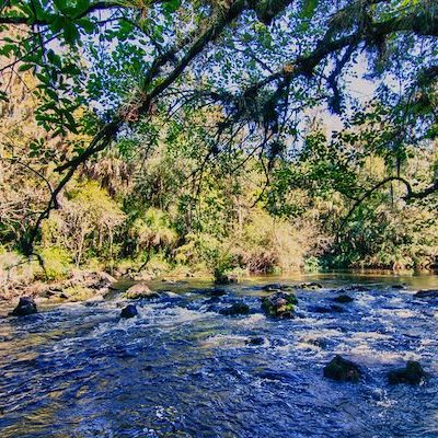 Freedom Montessori Academy