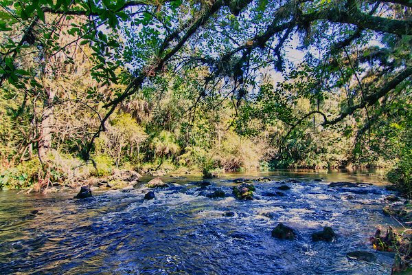 Freedom Montessori Academy