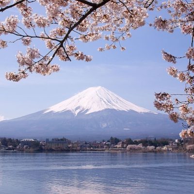 Dream Big Travels - Japan