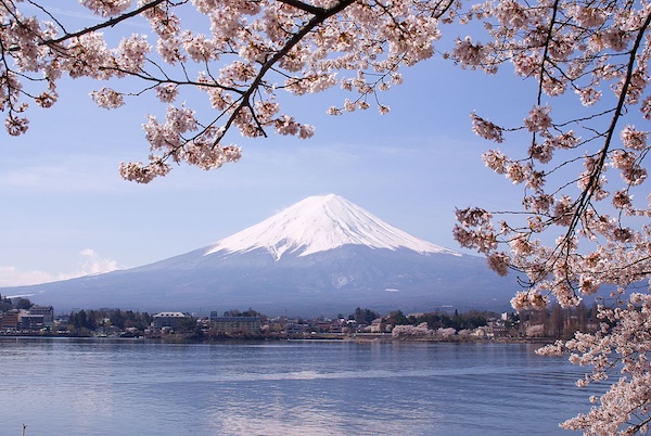 Dream Big Travels - Japan