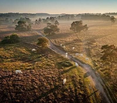 Worldschool Gathering the Netherlands