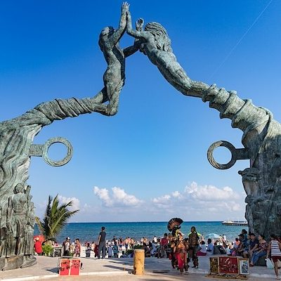 ArcticTerns - Playa del Carmen