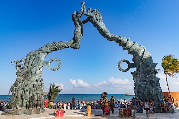 ArcticTerns - Playa del Carmen