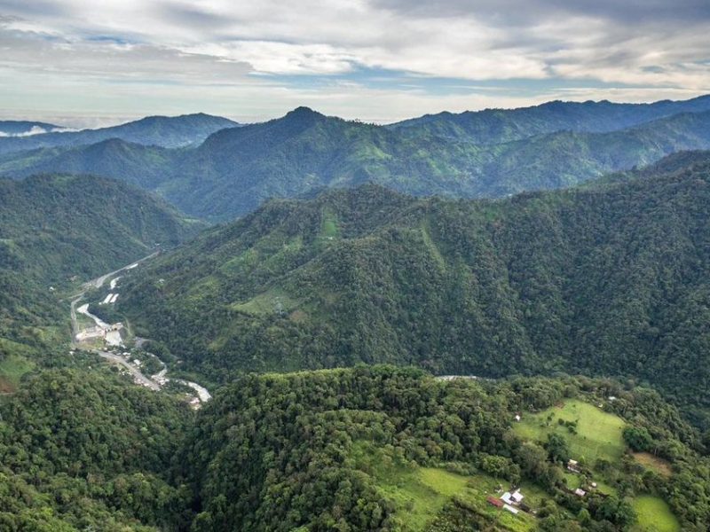 La Hesperia Cloud Forest Reserve