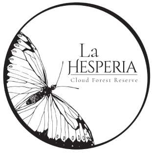 La Hesperia Cloud Forest Reserve